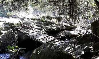 Imagem 5: Sítio com 3 dormitórios à venda, 3918 m² por R$ 500.000 - Zona Rural - Paraibuna/SP - SI00