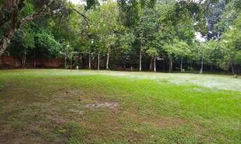 Imagem 4: Vendo Sítio no Bairro Tarumã Açú - Manaus - AM