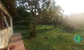 Imagem 6: FLORIANóPOLIS - Sítio - Ratones