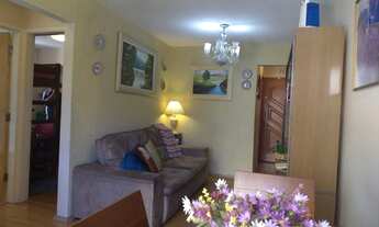 Imagem 3: Apartamento para venda com 55 metros quadrados com 2 quartos em Vila Antonieta - São Paulo