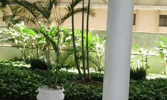 Imagem 6: Lindo apto todo reformado para venda tem 240 m² com 3 quartos em Higienópolis- São Paulo