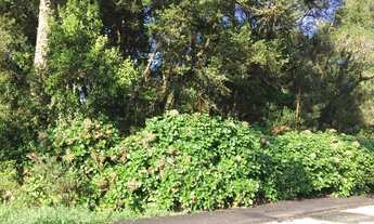 Imagem 4: Área no bairro Mato Queimado em Gramado!