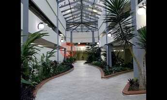 Imagem 3: Apartamento em Cambuci - São Paulo