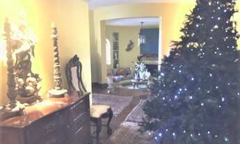 Imagem 3: Moema Pássaros - Exclusivo!