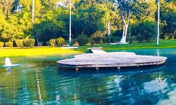 Imagem 5: Chacará Celeste, Mt 220 21 km Sinop-MT