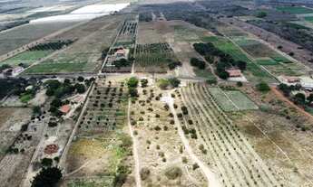 Imagem 4: IMÓVEL RURAL EM UBAJARA