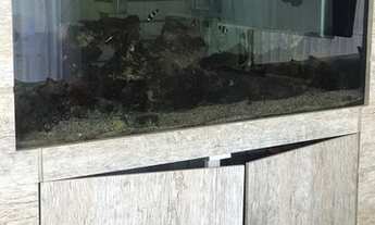 Imagem 5: OPORTUNIDADE! LINDO APARTAMENTO - 315M - com 4 quartos em Chácara Califórnia - São Paulo