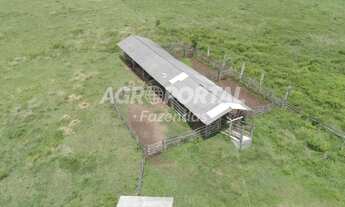 Imagem 6: Fazenda no Pará - Mãe do Rio - PA