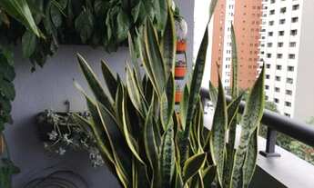 Imagem 2: Apartamento para venda possui 126 metros quadrados com 3 quartos em Perdizes - São Paulo