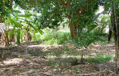 Imagem 5: VENDO LOTE - São Jorge