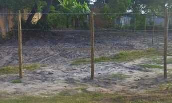 Imagem 5: Excelente terreno ilha de vera cruz 200m2