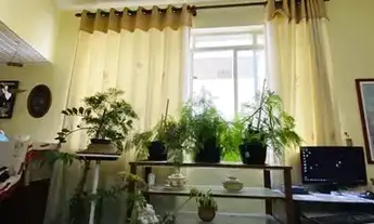 Imagem 6: APARTAMENTO - HIGIENÓPOLIS - SP