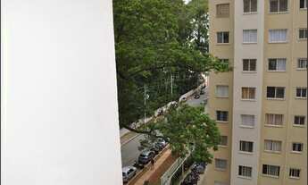 Imagem 7: Apartamento para Aluguel - Jardim São Saverio, 2 Quartos, 41 m2