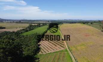 Imagem 3: Sítio com 7,5h, casa, galpão, açudes em Guaíba - Aceito troca por casa na praia