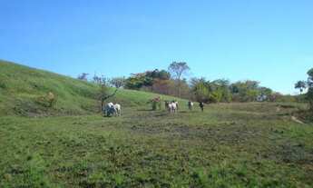 Imagem 7: Terreno no bairro Zona Rural