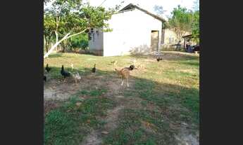 Imagem 5: Vende-se casa ou troca