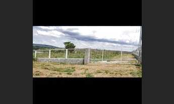 Imagem 3: Excelente Chácara em Sobradinho dos Melos