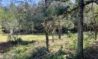 Imagem 9: Sítio Com Açude Em Condomínio Fechado. ROB:61