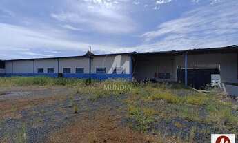 Imagem 3: Salão/Galpão (salão - térreo