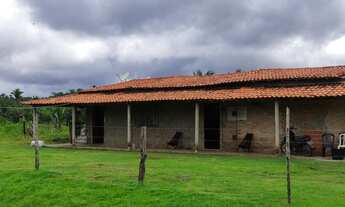 Imagem: Vendo excelente fazenda em aldeias-MA