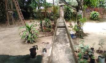 Imagem 7: Excelente Sítio