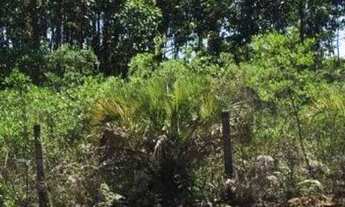 Imagem: Terreno à venda em Imbituba/SC