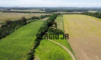 Imagem 5: Sítio com 7,5h, casa, galpão, açudes em Guaíba - Aceito troca por casa na praia