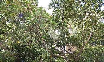 Imagem 4: Apartamento com 4 quartos à venda, 210 m² por R$ 2.800.000 - Ipanema - Rio de Janeiro/RJ