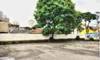 Imagem 2: São Paulo - Terreno Padrão - Belém