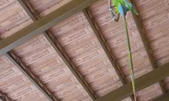 Imagem 3: Casa condominio Fechado Itacaiu