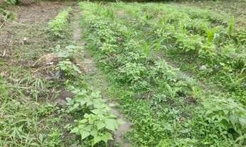 Imagem 6: CHACARA EM JUQUIÁ/SP