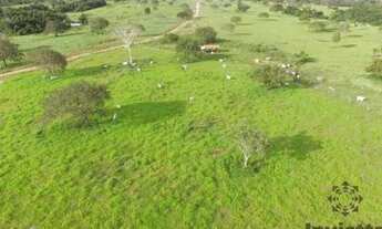 Imagem: Fazenda 125 alqueires 72 km de Palmas