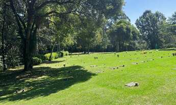 Imagem 2: Terreno Cemitério Parque Iguaçu - Barigui