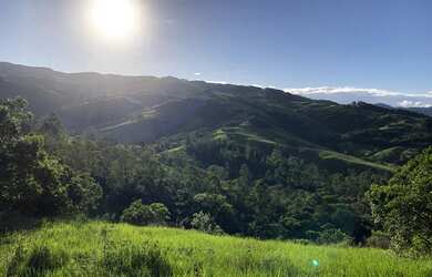 Imagem 6: LINDO 2,3 HECTARES VISTA PARA LAGOA!!