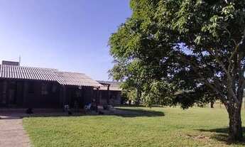 Imagem 7: Sítio com 2 dormitórios à venda, 10000 m² por R$ 380.000,00 - Lami - Porto Alegre/RS