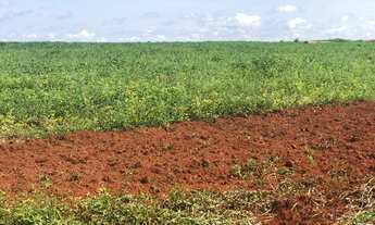 Imagem 7: Fazenda Vila Bela dá Santíssima Trindade MT