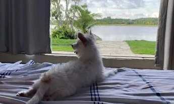 Imagem 5: PROMOÇÃO EM AGOSTO APROVEITE