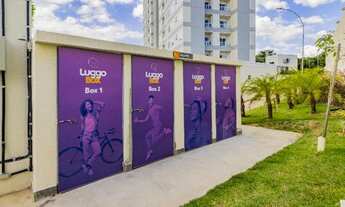 Imagem 3: Aluguel Jardim Carvalho / Direto com Proprietário