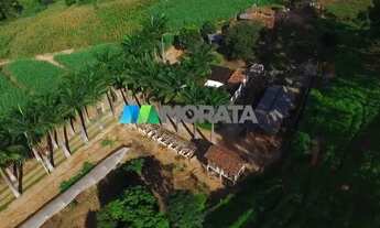 Imagem 3: FAZENDA EMPRESA - REGIÃO VIÇOSA (MG