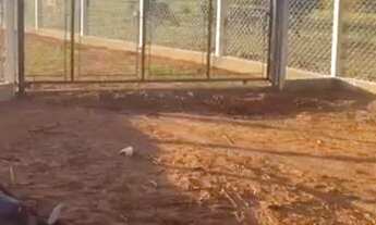 Imagem 3: Sitio em Ruilandia 300 metros da cidade