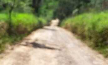 Imagem 11: Chacara de 1.000m2 em Betim