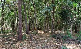 Imagem 7: Chácara 2.250 m² em condomínio, chalé, fogão a lenha, córrego nos fundos e cisterna