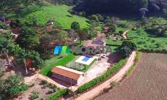 Imagem: FAZENDA EMPRESA - REGIÃO VIÇOSA (MG