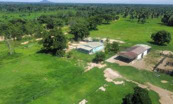 Imagem 2: FAZENDA PECUARIA 305 HECT STO ANTÔNIO LEVERGER