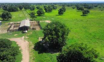 Imagem 4: FAZENDA PECUARIA 305 HECT STO ANTÔNIO LEVERGER