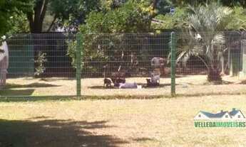 Imagem 3: Velleda oferece lindo sítio com estrutura pronta para canil e com excelente casa em Águas