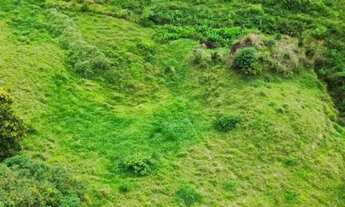 Imagem: Oportunidade em santa Leopoldina próximo