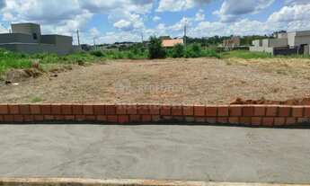 Imagem: Terreno Padrão em Mirassol