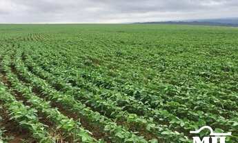Imagem: Fazenda Sudoeste Goiano. (Irrigada e Sequeiro)
