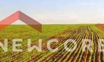 Imagem: Sítio em Rua Onze de Agosto - Centro